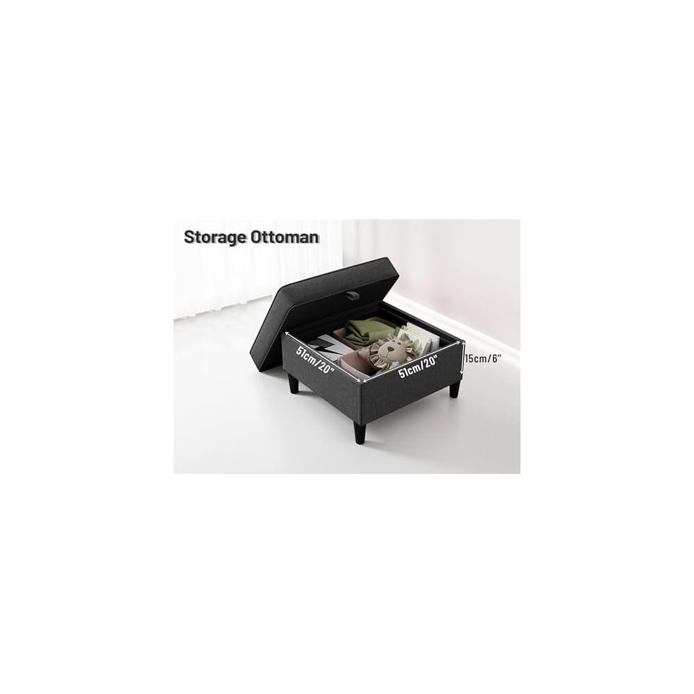 Small Sofas Couches for Living Room with Removable Storage Ottoman